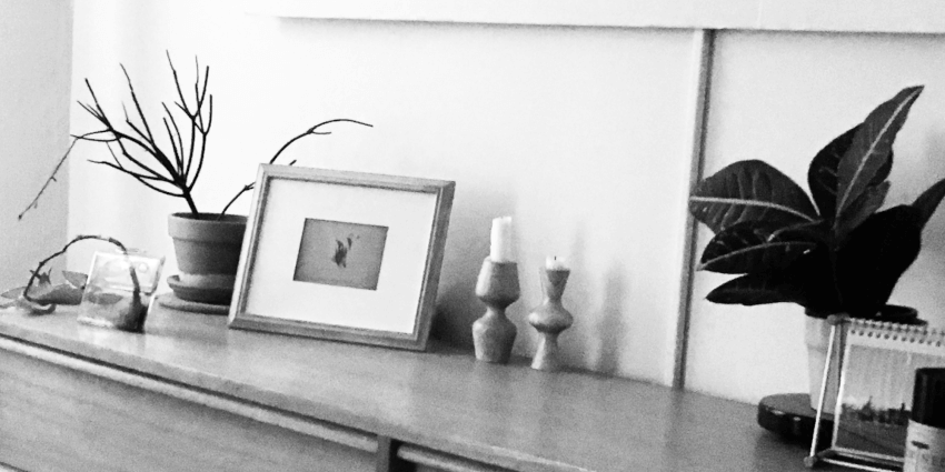 Cover Image for Jerrypic