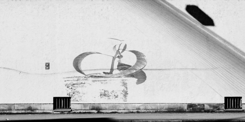 Cover Image for Artistic Plant